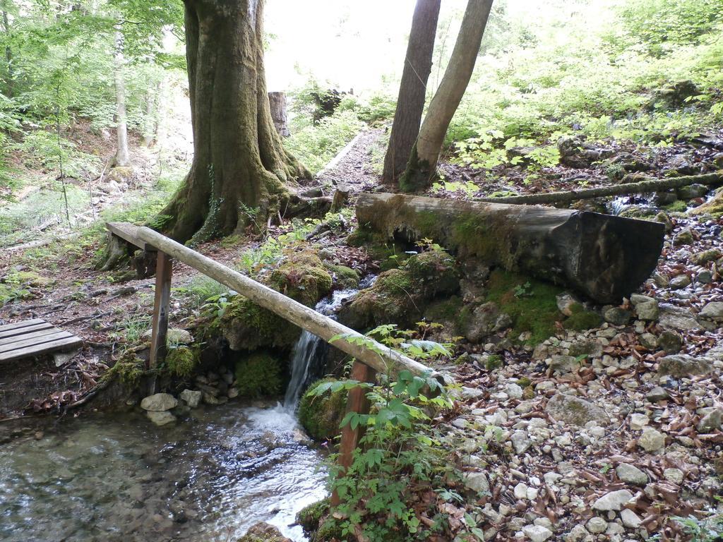 Villa Kraeuterhof Miesrigl Losenstein Esterno foto