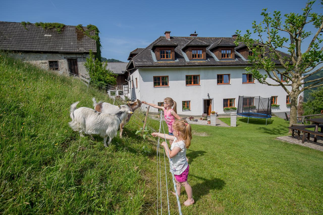 Villa Kraeuterhof Miesrigl Losenstein Esterno foto